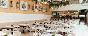Read more about the article Live Music Concerts at Our Hotel